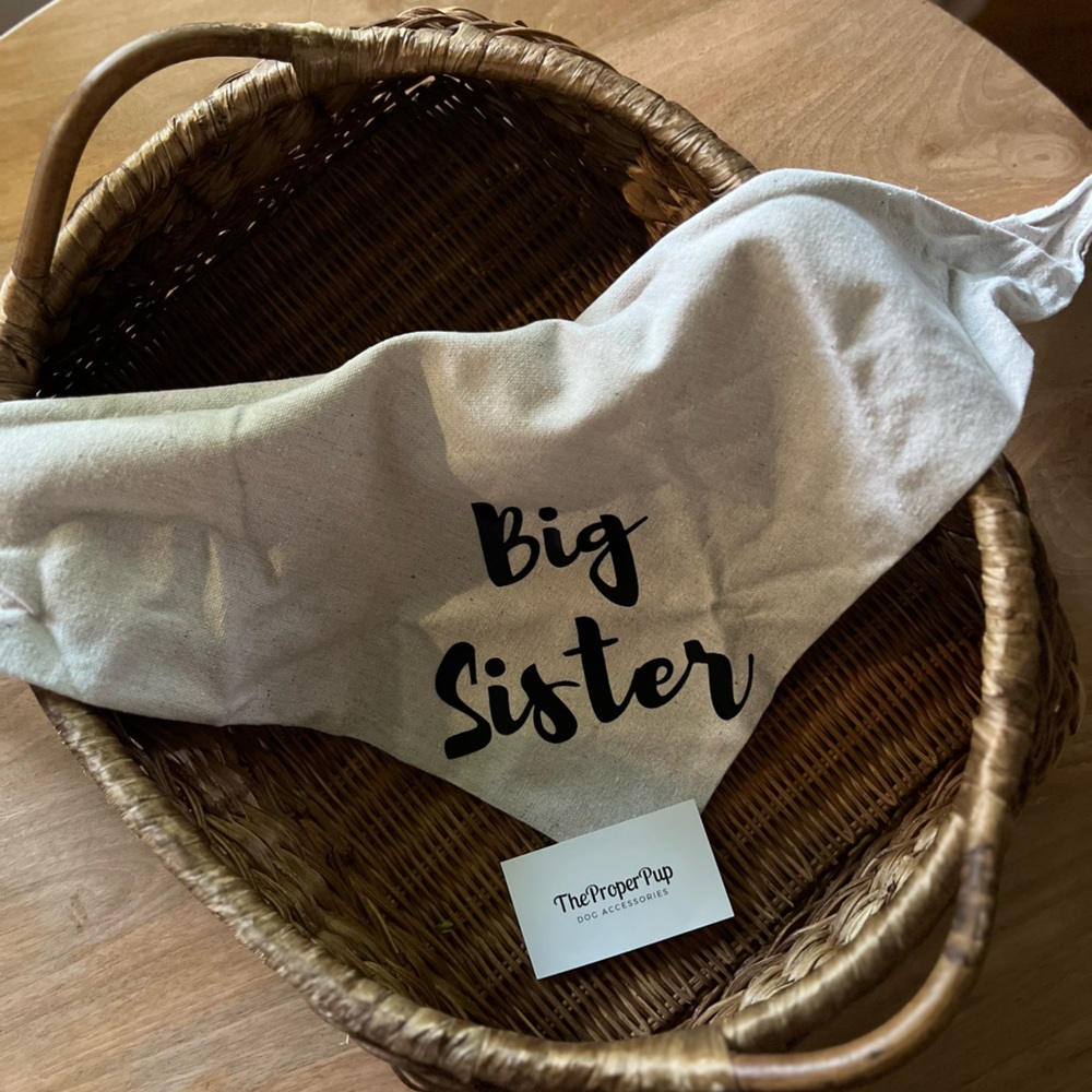 Big Sister Dog Bandana